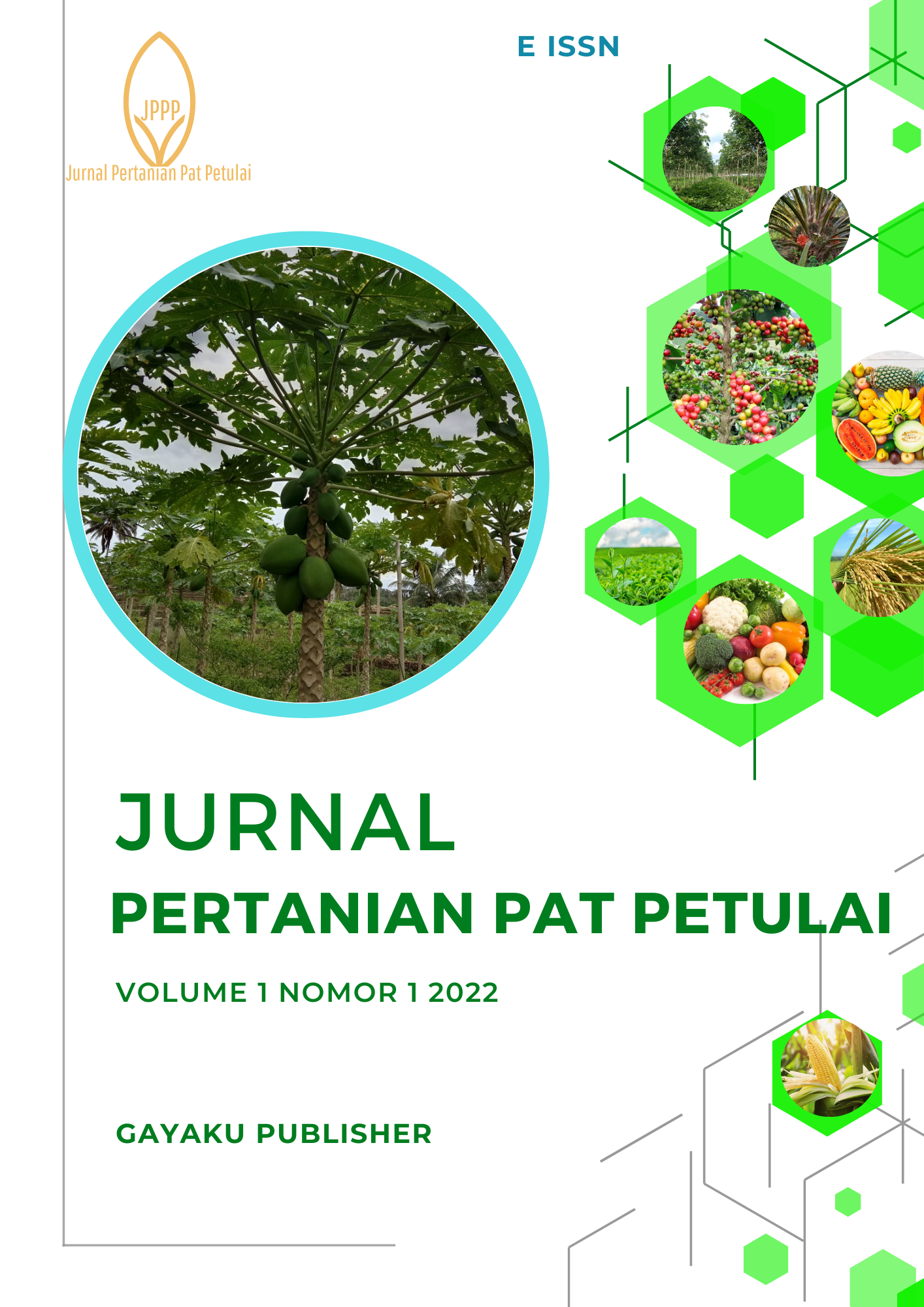 					View Vol. 2 No. 1 (2024): July-December
				